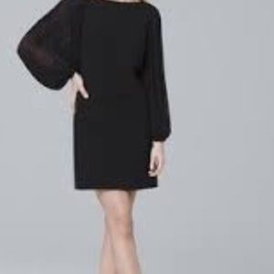 WHBM gorgeous black dress with sheer bell sleeves